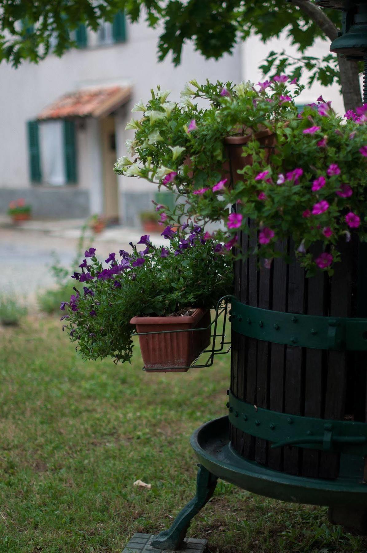 B&B Cascina Santa Gavi Exterior foto